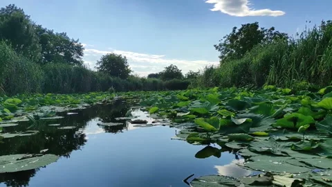 Lake Snagov