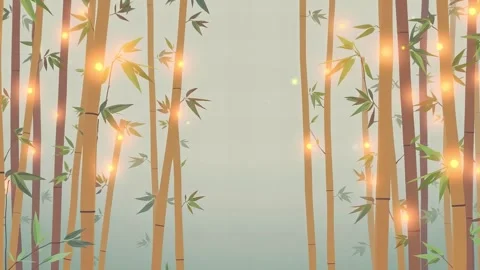 Serene Bamboo Stems: Soft Light and Delicate Leaves in a Tranquil Forest Settin Video stock 317967379