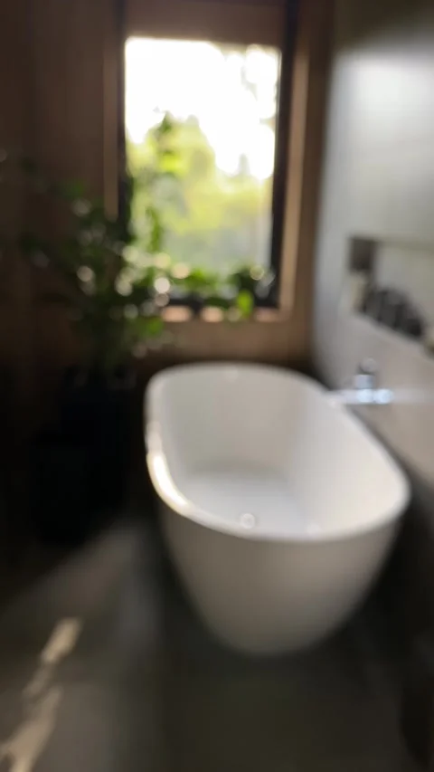 Serene bathroom with nature Stock Footage 342335446