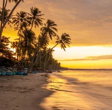 A serene beach landscape at sunset Stock Photos