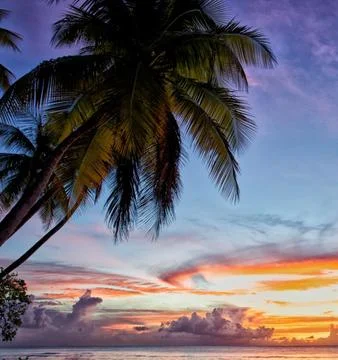 A serene beach landscape at sunset Stock Photos
