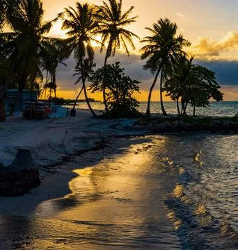 A serene beach landscape at sunset Stock Photos