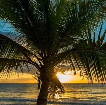 A serene beach landscape at sunset Stock Photos
