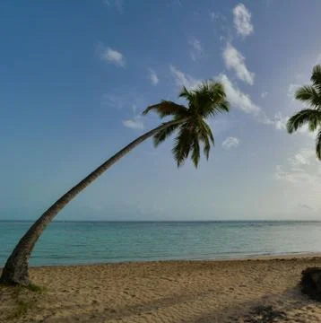 A serene beach landscape at sunset Stock Photos