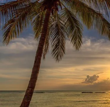 A serene beach landscape at sunset Stock Photos