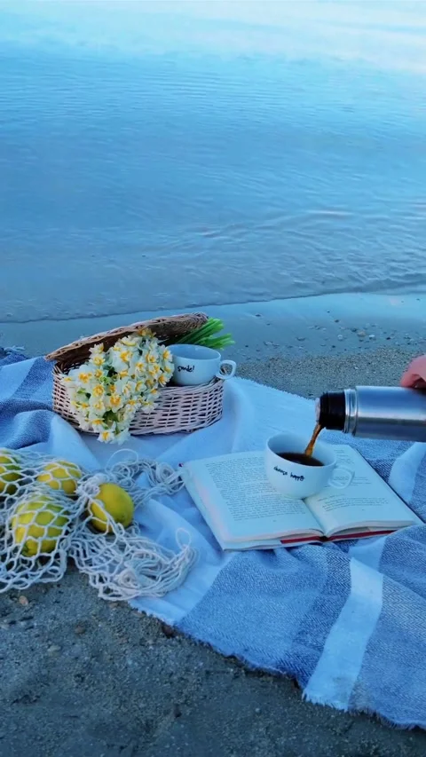 Serene Beach Picnic Scene with Blue Ocean and Relaxing Atmosphere Video stock 344850575