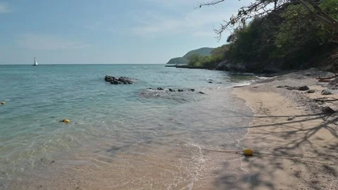 Serene Beach Scene with Calm Water and Green Vegetation Stock Footage 296480261