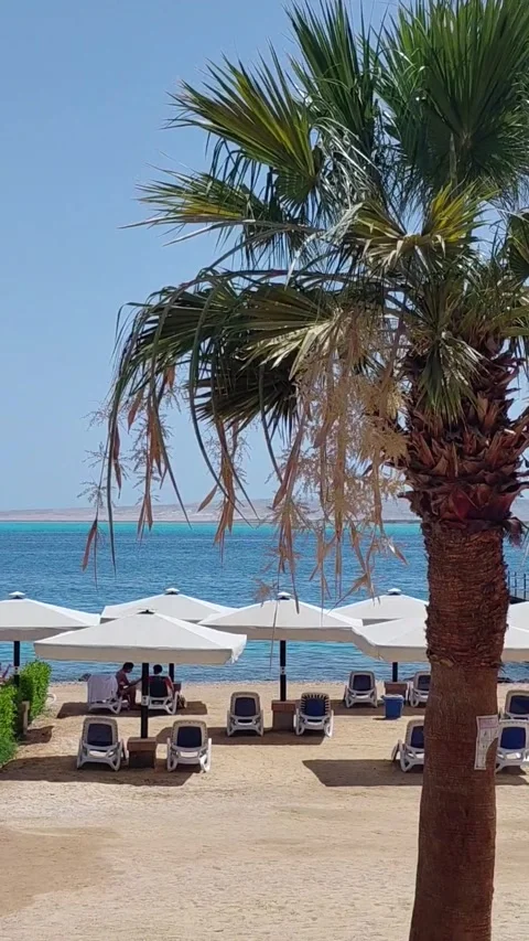 A serene beach scene Stock Footage 336208635