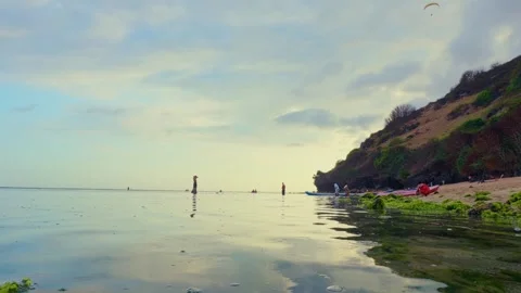 Serene Beach Scene with Paragliders Stock Footage 293307436