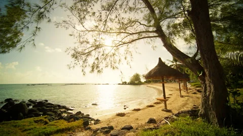 A serene beach scene with sunlight, gentle waves, and umbrellas Stock Footage 314564520