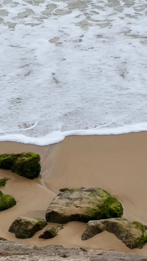 Serene Beach Scene with Waves and Clear Blue Sky Stock Footage 274388670