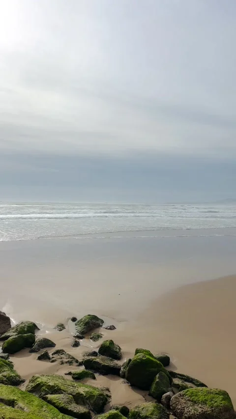 Serene Beach Scene with Waves and Clear Blue Sky Stock Footage 274388701