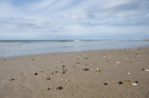 Serene Beach with Shells and Pebbles 写真素材