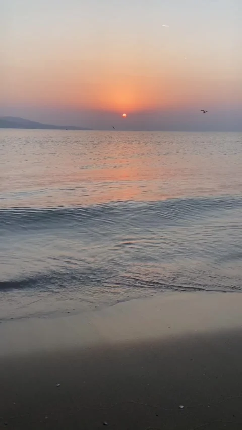 A serene beach at sunset, with the sun partially below the horizon, casting a wa Stock Footage 293090760