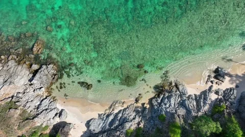 A serene beach, surrounded by lush greenery. Stock Footage 307775192
