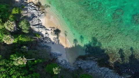 A serene beach, surrounded by lush greenery. Stock Footage 307775225