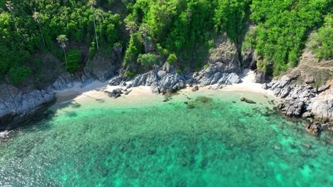 A serene beach, surrounded by lush greenery. Stock Footage 307775247
