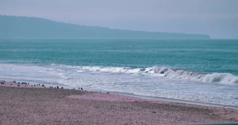 Serene beach waves and distant coastline in soft light 스톡 동영상 339519732