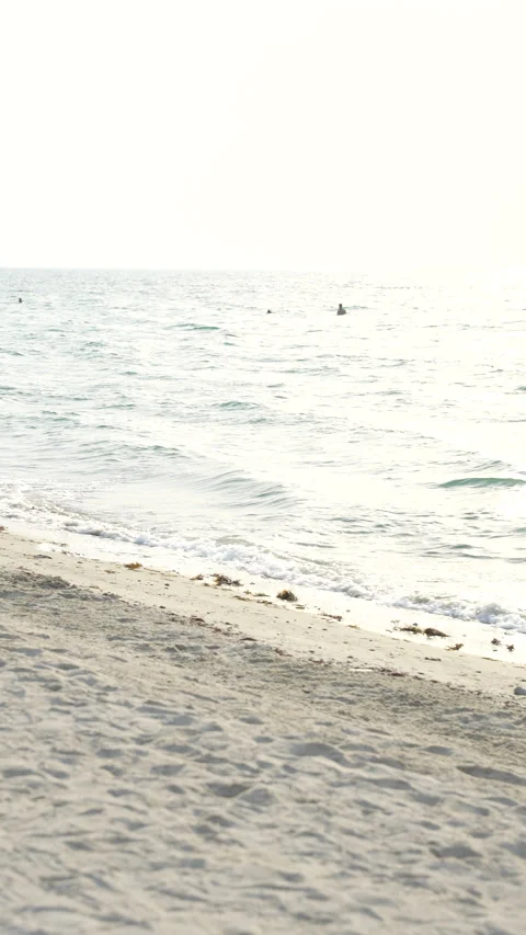 Serene Beach Waves Stock Footage 316347732