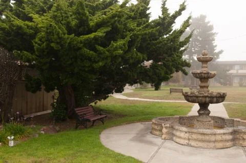 A serene bench under a tree Stock Photos