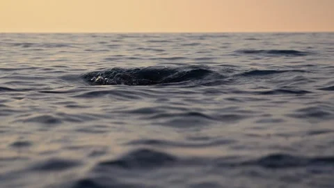 Serene blue ocean waves gently rippling beneath a warm sunset Stock Footage 337411212