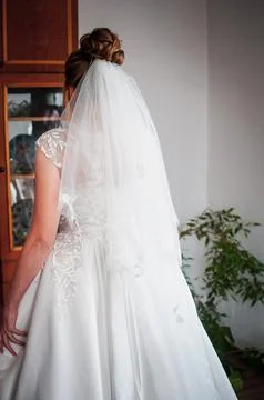 A Serene Bride Adorned in Elegance, Embracing Timeless Beauty and Grace Stock Photos