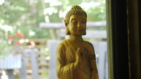 A serene Buddha statue peacefully placed in a beautiful natural environment Stock Footage 302089129