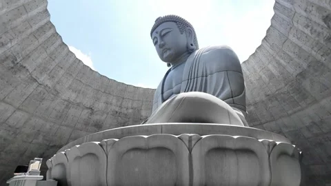 Serene Buddha Statue Surrounded by Tranquil Architecture Stock Footage 313838228