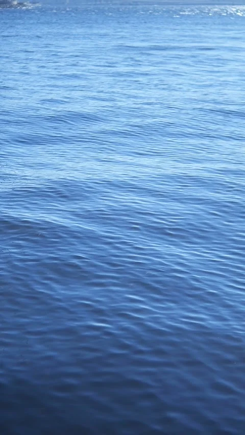 Serene Calm Azure Water Surface with Soft Gentle Ripples Across Its Expansive Stock Footage 296731101