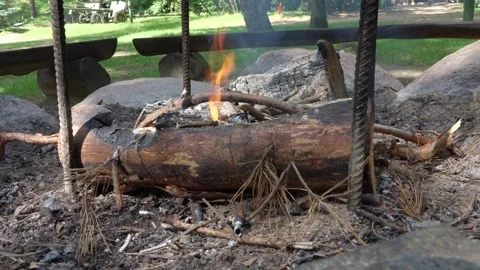 Serene Campfire in Belarus Forest Video stock 278266151