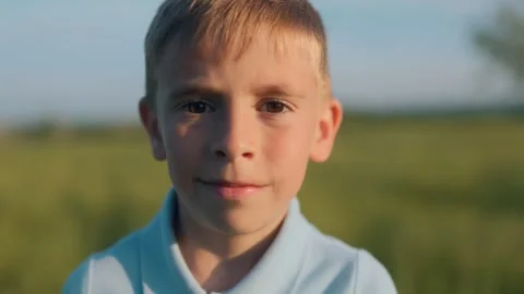 Serene Close-Up of Pensive Boy in Meadow Under Warm Light Stock Footage 311575004