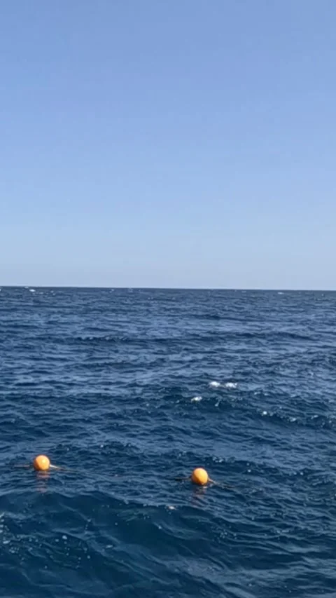 A Serene Coastal Scene Featuring Floating Orange Buoys Against a Vast Blue Ocean 库存影片 330095467