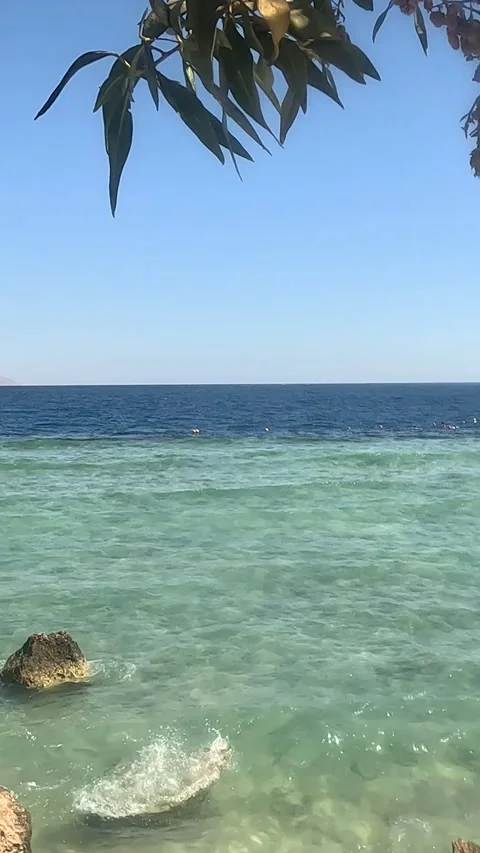 A Serene Coastal Scene Featuring Lush Coastal Foliage Overlooking Crystal-Clear Stock Footage 332145802