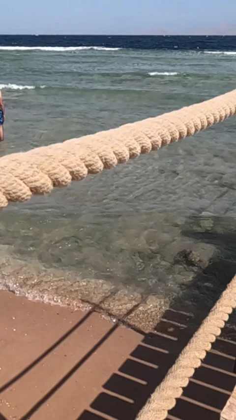 A Serene Coastal Scene Featuring a Thick Rope Leading Towards Clear Waters Under Stock Footage 330113675