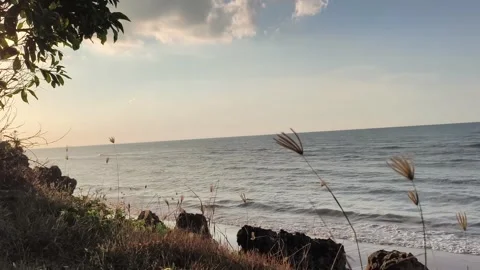 Serene Coastal Sunset with Ocean Waves and Swaying Wild Grass Stock Footage 340489607