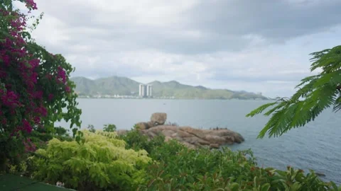 A Serene Coastal View Featuring Vibrant, Colorful Flora Against a Backdrop of Stock Footage 318385799