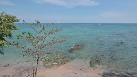 Serene Coastal View with Greenery and Calm Blue Waters Stock Footage 296480356