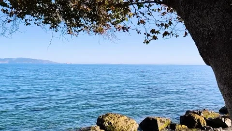 Serene Coastal View Under Tree Canopy with Calm Blue Sea and Distant Mountain Stock Footage 332135240