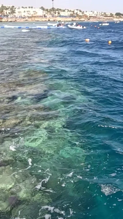 Serene Coastal Waters Capturing the Mesmerizing Dance of Colors and Coral Stock Footage 330095510