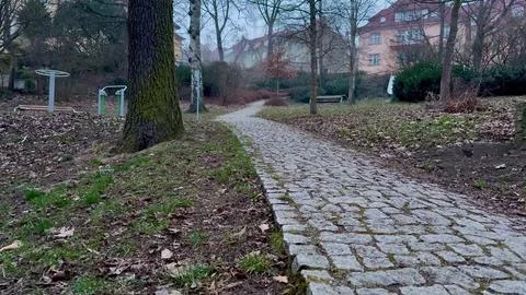 A Serene Cobblestone Pathway That Meanders Through a Quiet and Picturesque .. Stock Photos