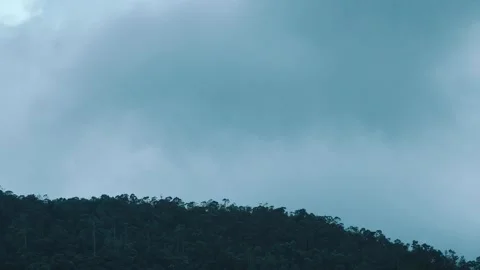 A serene, contemplative moment in nature, featuring heavy clouds over lush green 库存影片 338266274