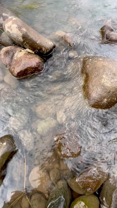 Serene Crystal Clear Stream Flowing Gently Over Smooth River Stones and Pebbles Stock Footage 340989939