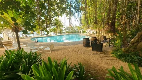 A serene deck leads to a pool in a lush garden, inviting relaxation Stock Footage 313845550
