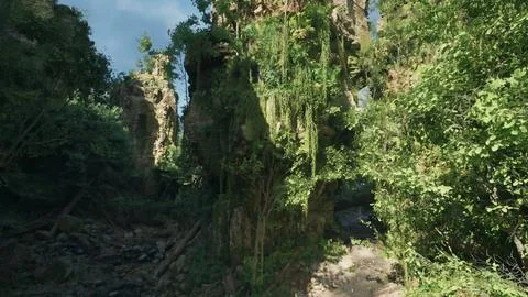 A serene dirt path winding through a lush forest in New Zealand. mountain pat Stock Illustration
