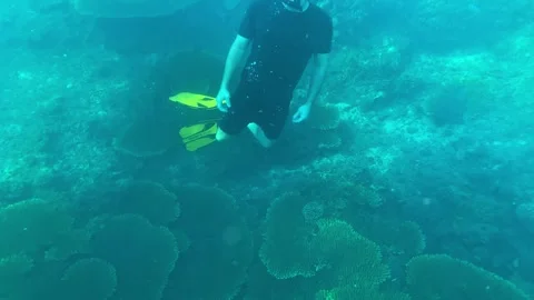 Serene diver glides through turquoise waters above lively coral landscape Video stock 333209585