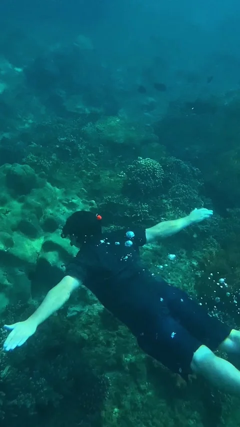 Serene diver glides through turquoise waters above lively coral landscape 스톡 동영상 333209622