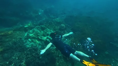 Serene diver glides through turquoise waters above lively coral landscape Stock-Footage 333209633