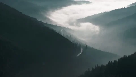 A serene drone shot of thick white mist flowing through dark evergreen mountain Vidéo 331060799