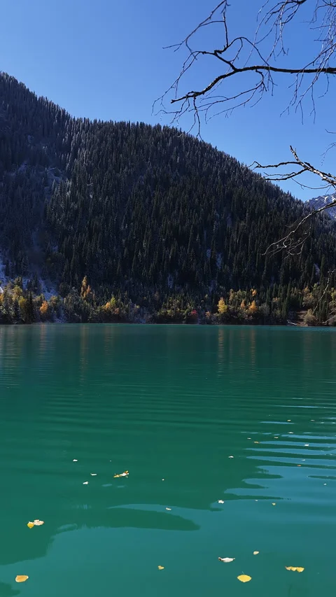 Serene emerald Issyk lake reflecting a mountain forest, Kazakhstan Stock Footage 344558083