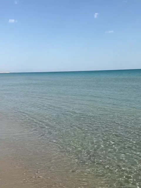 Serene Empty Sandy Beach with Gentle Ocean Waves Video stock 342268155